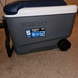 Igloo 40 quart cooler on wheels