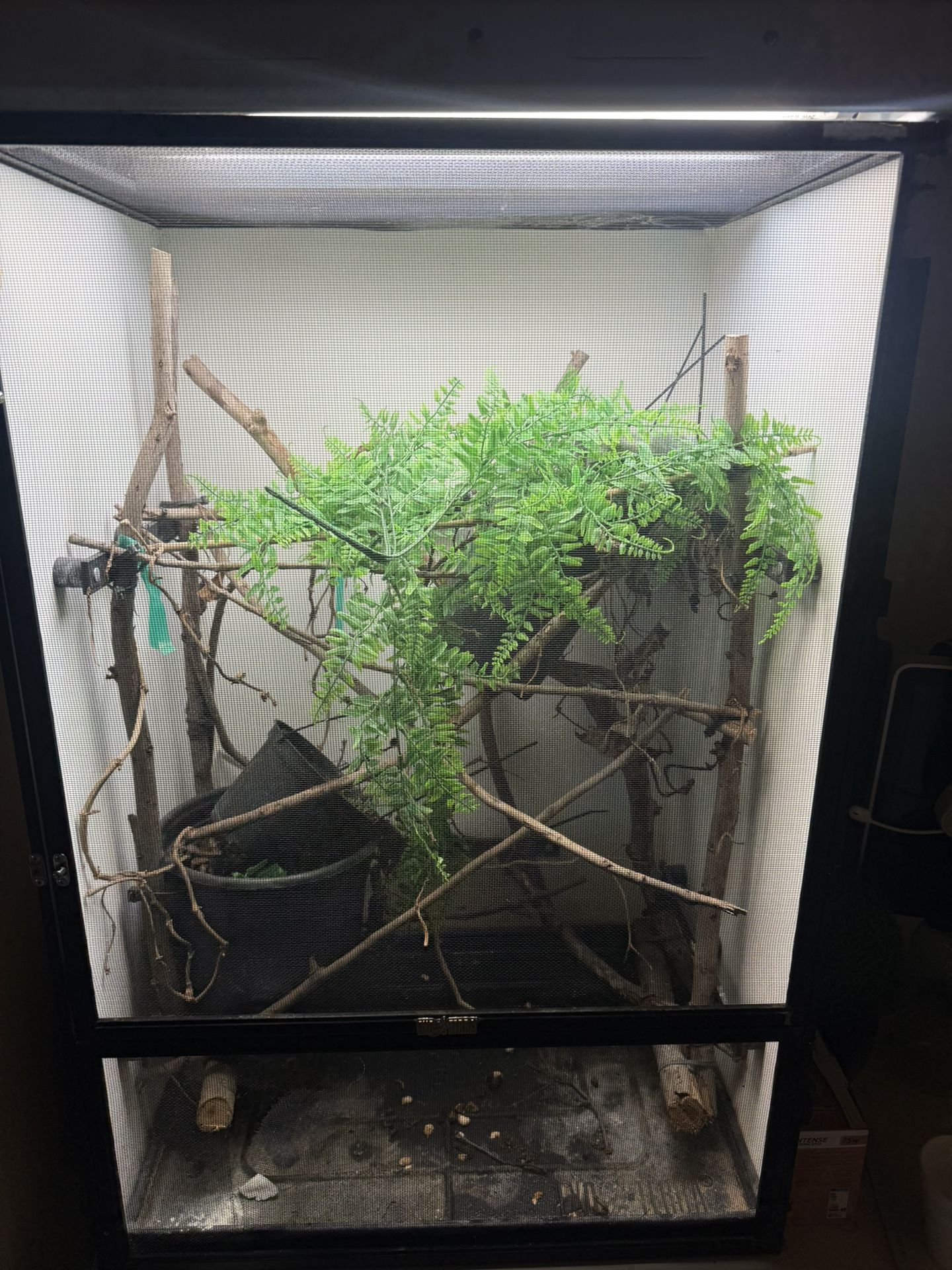 Exo Terra Terrarium (Chameleon Cage)