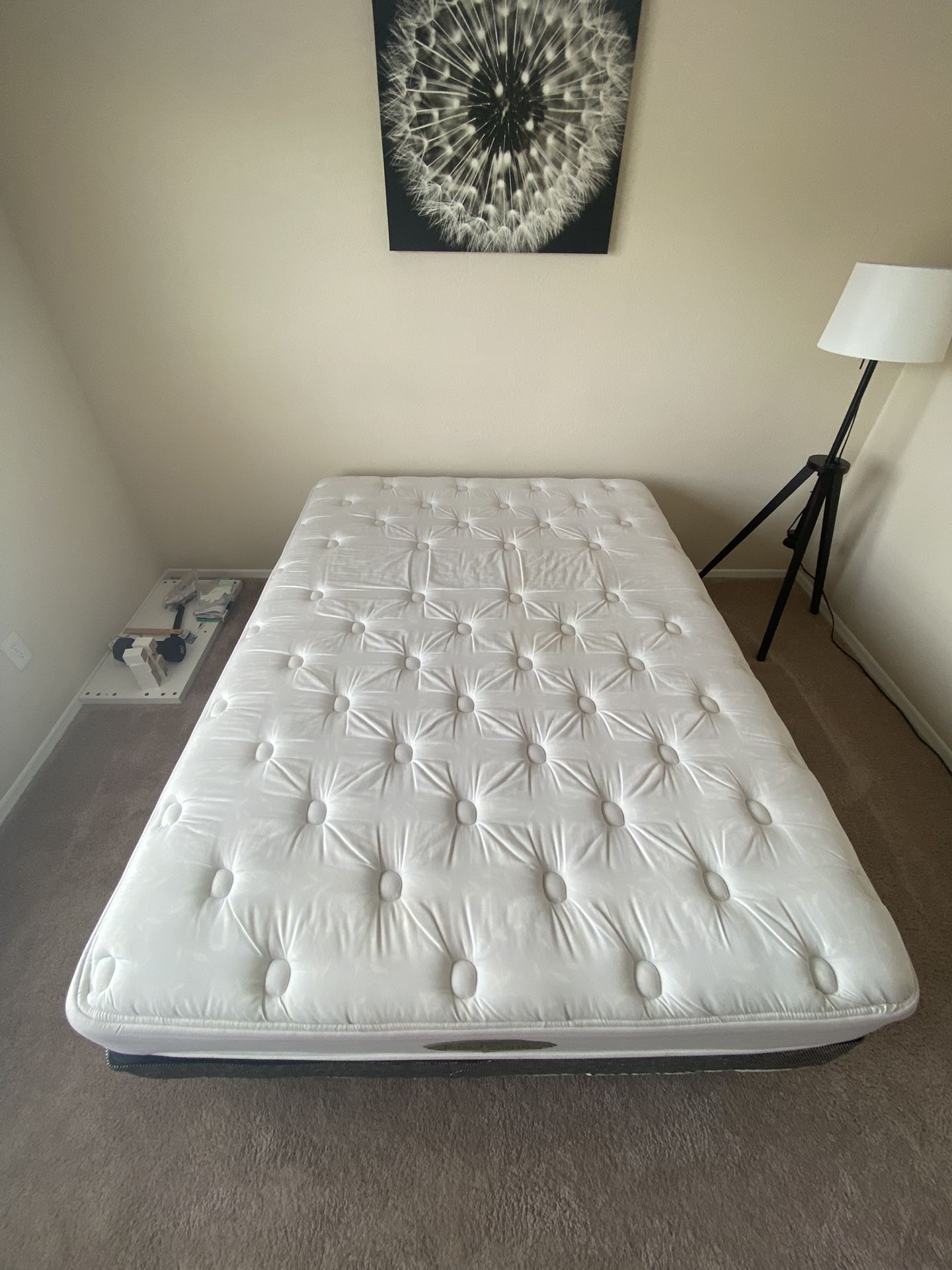 Simmons Queen Back Care Mattress With Box Spring And Metal Base
