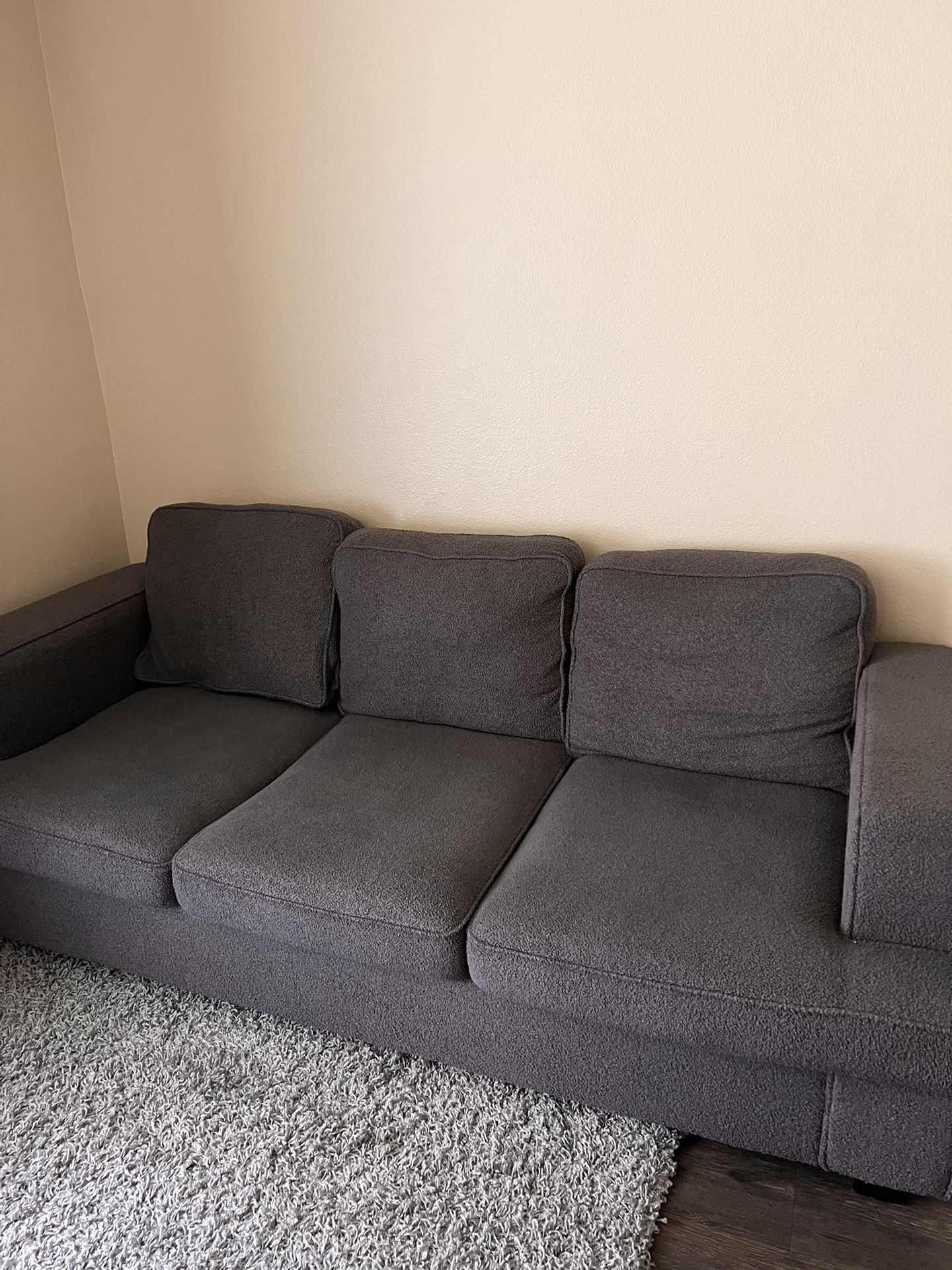 Gray Couch