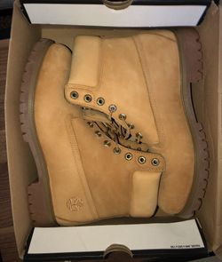 Timberlands size 11