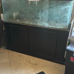 Large Fish Tank With Stand