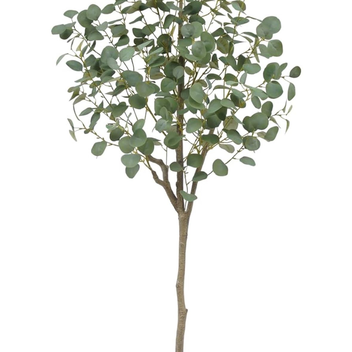 Artificial Eucalyptus Tree 6FT, 72in Tall Fake Eucalyptus Plant in Pot, Green Silver Dollars Silk Leaves Faux Tree for Home Office Livingroom Decor