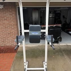 Pull Up And Dip Combo 