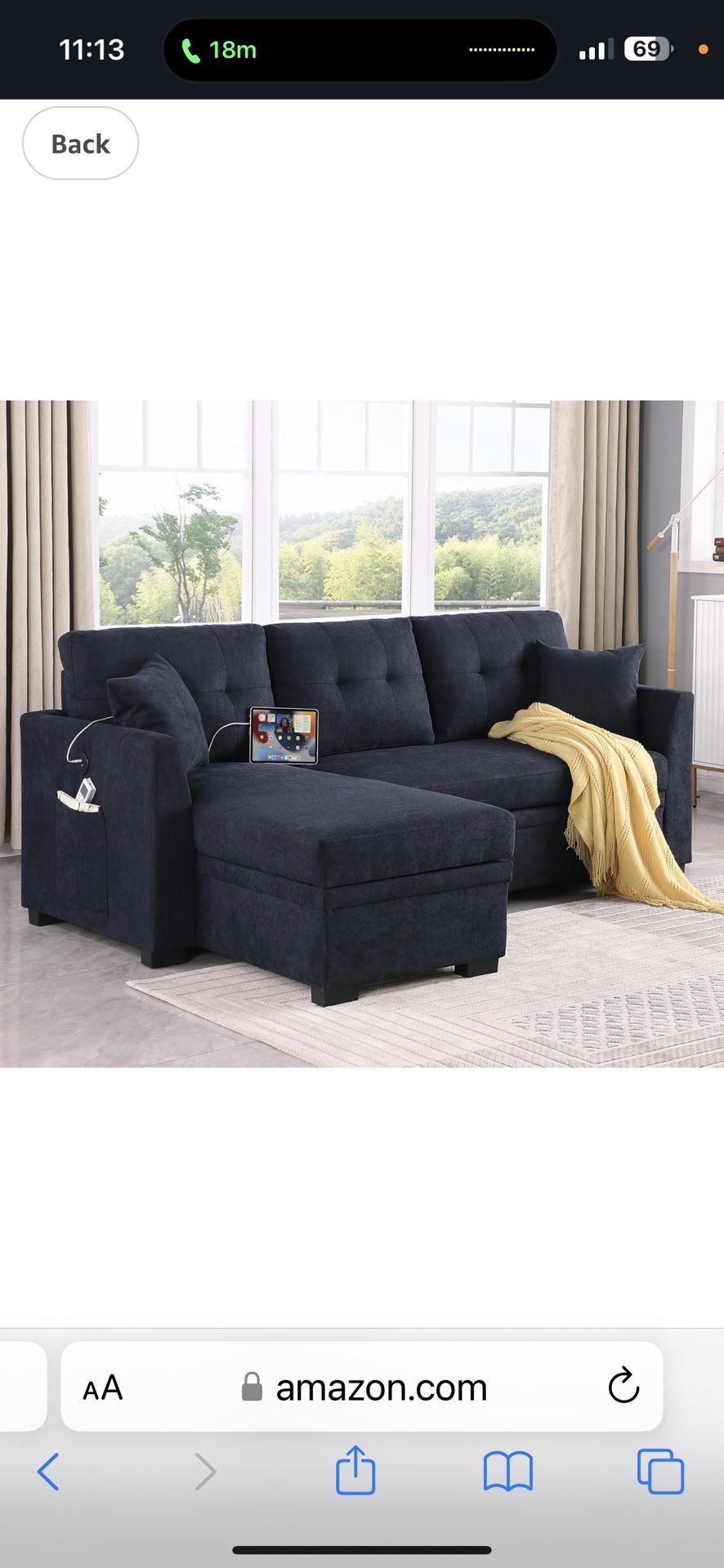 Brand New Couch Pull Out