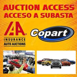 *** DEALER SERVICES ***