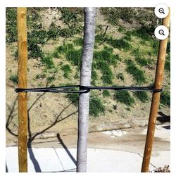 VIP Cinch  For Tree’s Or Whatever 