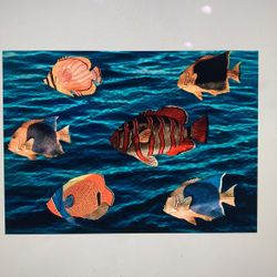 6 FISH Colorful Wall Decor