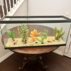Fish Glass Tank/aquarium 40 Gallon 