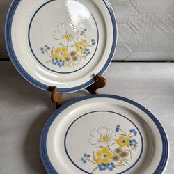 Two Vintage “Patricia” By Mt Clemens Pottery Floral Stoneware Dinner Plates 