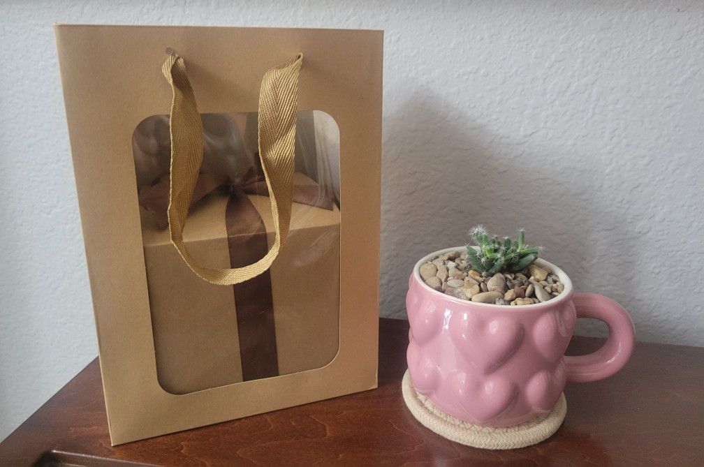 Succulent Plant Gift Set Valentine's Birthday Or Any Occasion 