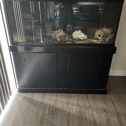 Reptile Tank Bundle 