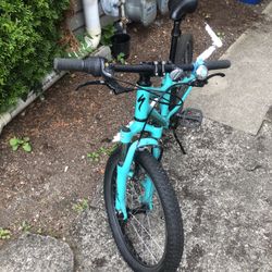 Specialized Hot Rock Mountain Bike (Kid)