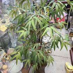 Artficial  Plant 