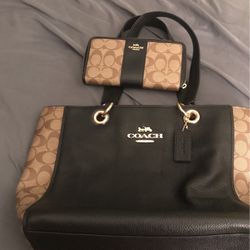 Coach Purse And Wallet 