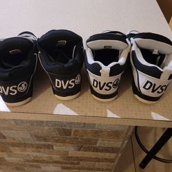 DVS Shoes 