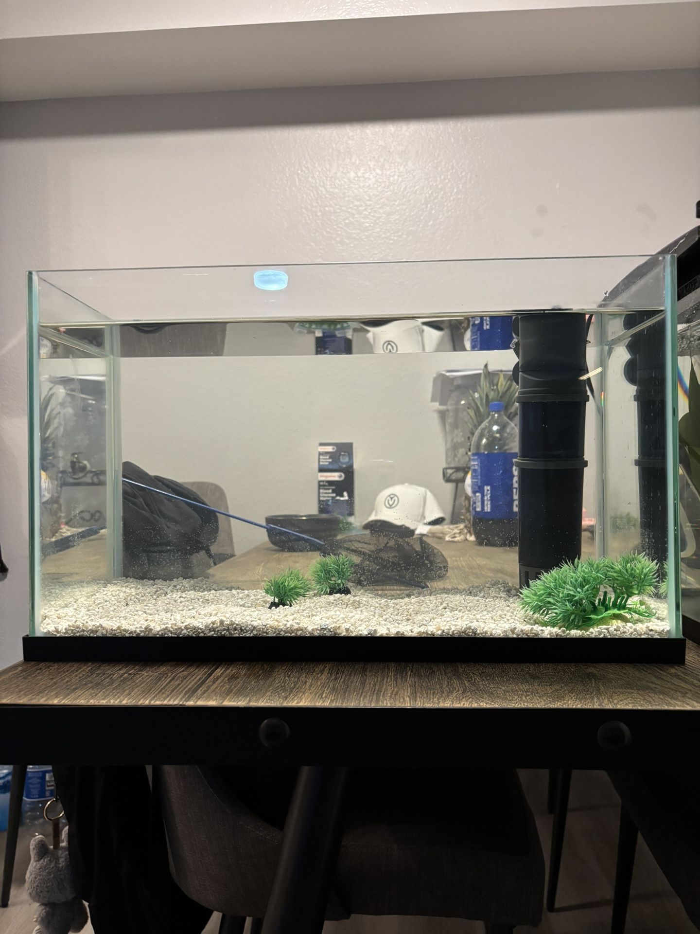 Fish tank