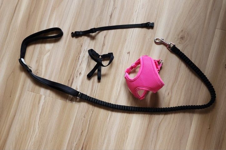 Xxs Animal Harness With Leash