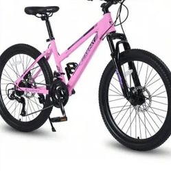 NICE  BLAZZER HIGH SPEED BIKE 