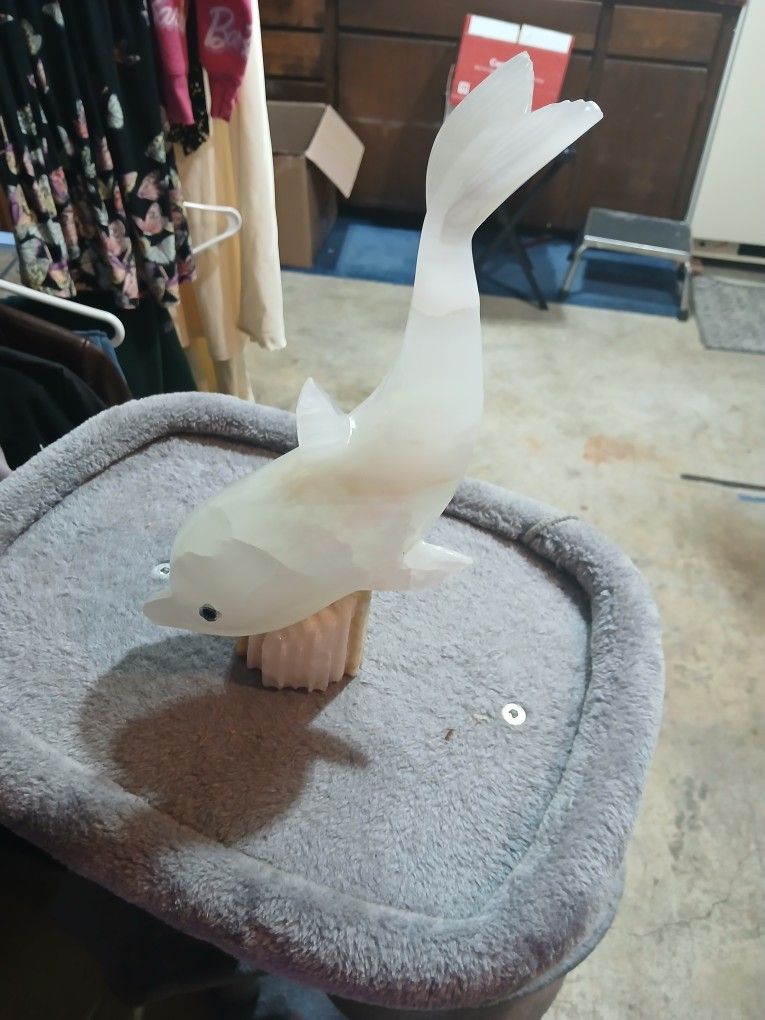 Very Heavy Dolphin