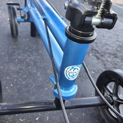 Knee Rover Scotter EUC