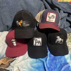 Alucin Hats, Hats