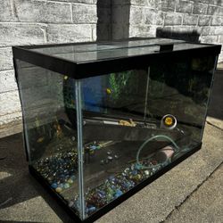Fish Tank With Light 