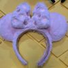 I trade 4 Disneyland Park Ears