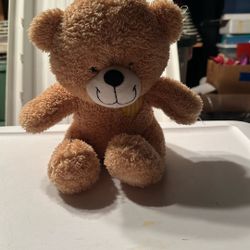 Plush Teddy Bear