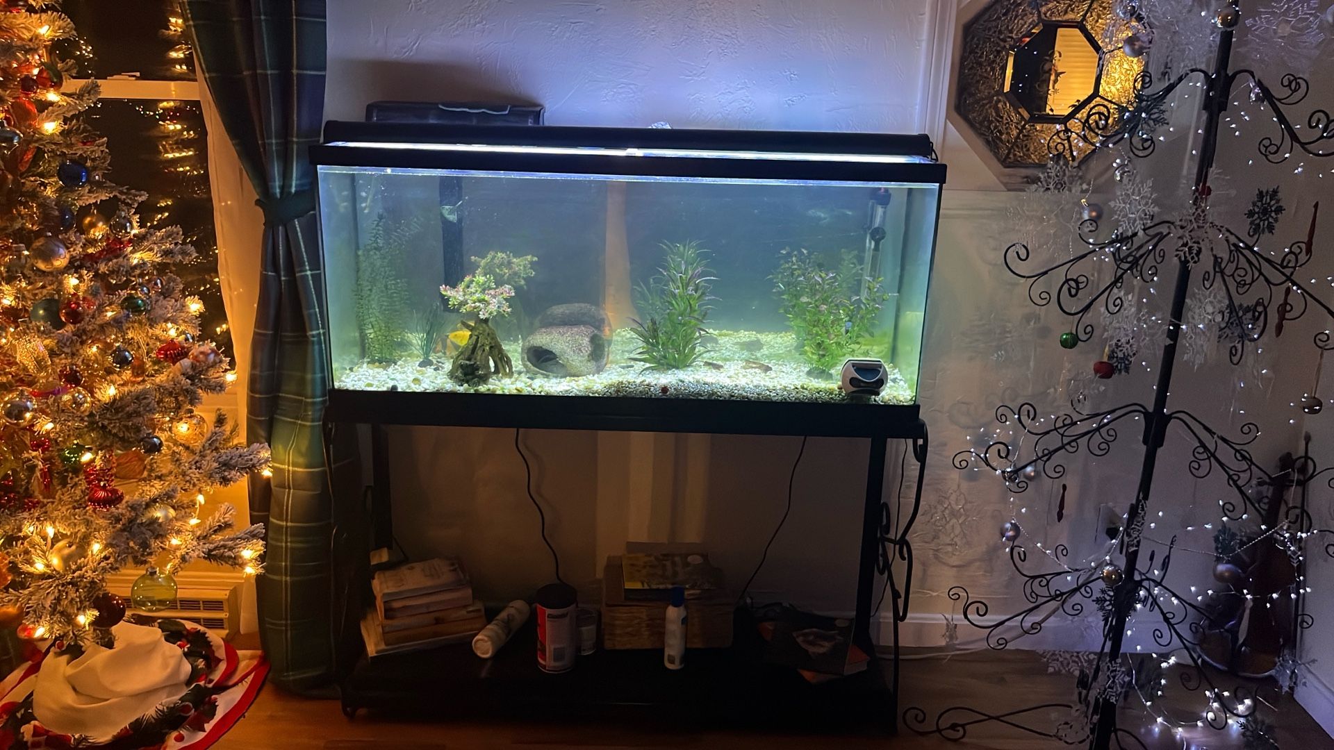 55 Gallon Mirrored Tank 
