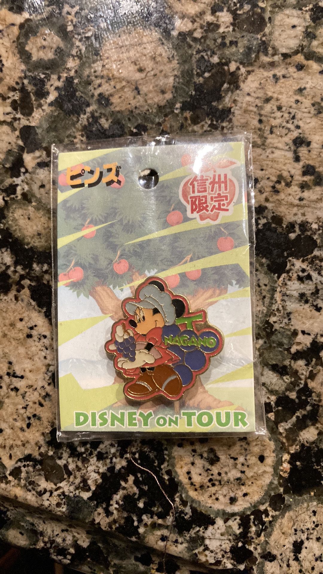 Disney Local Pin Badge Minnie Shinshu