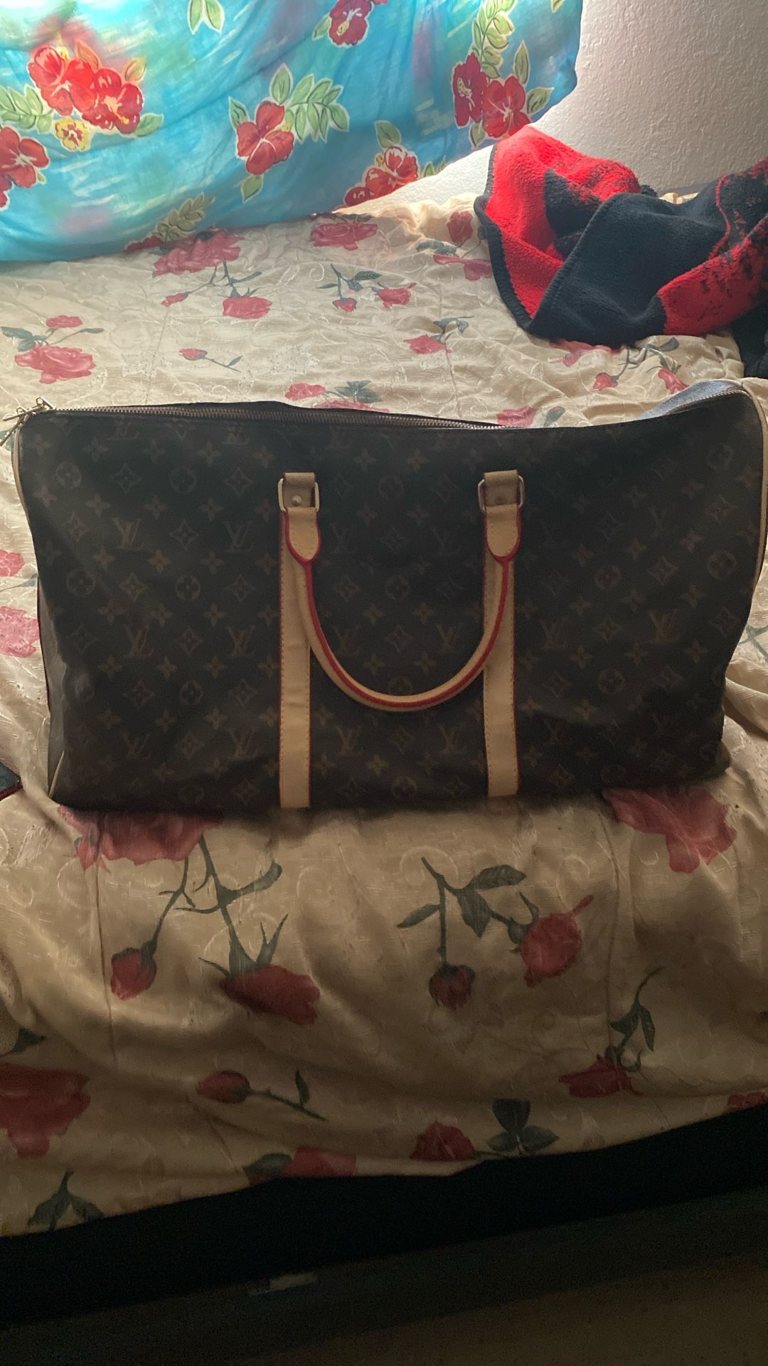 Louie Vuitton Bag