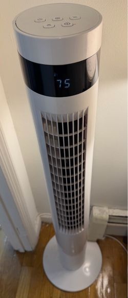 Stand Up Fan