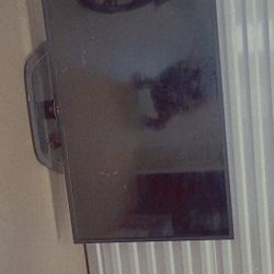Flat Screen Tv's