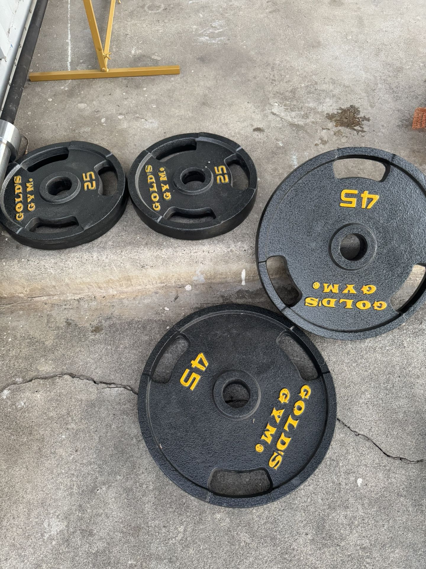 Gold Gym Weights
