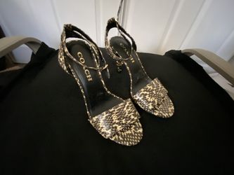 Coach Snakeskin Shoes Size 6