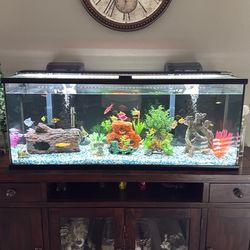 55 gal fish tank complete. (NO STAND INCLUDED)