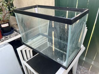 20 Gallon Aquarium