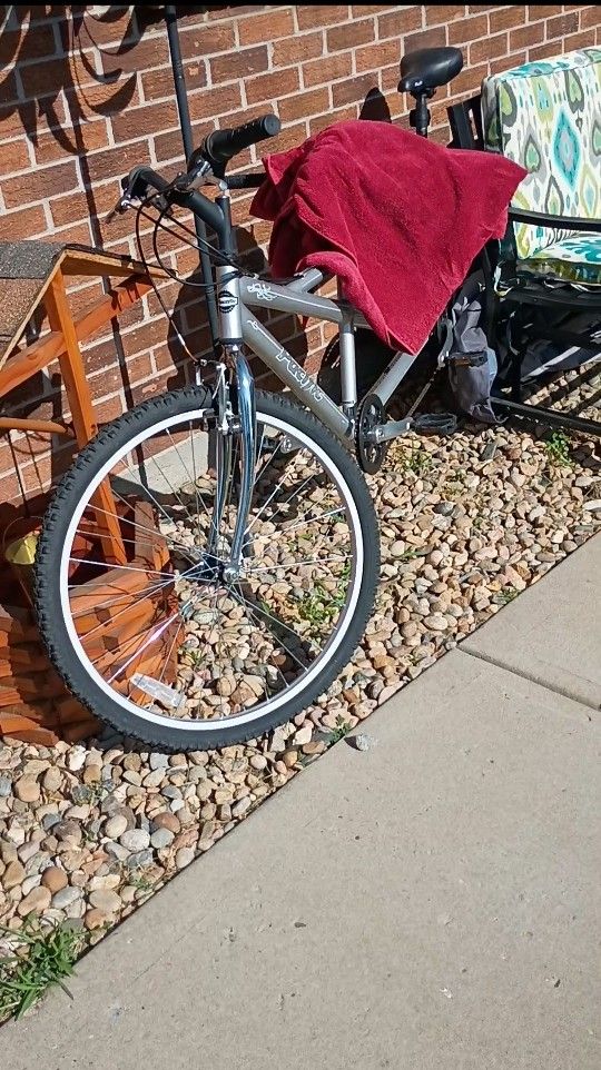 Bicycle built for two! 200 obo