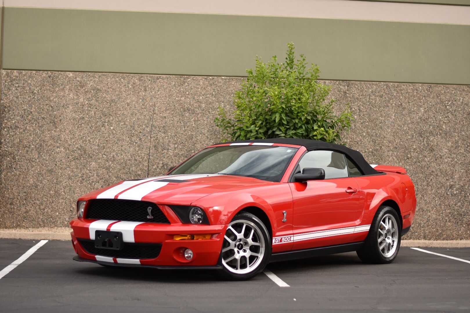 2008 Ford Shelby Gt500