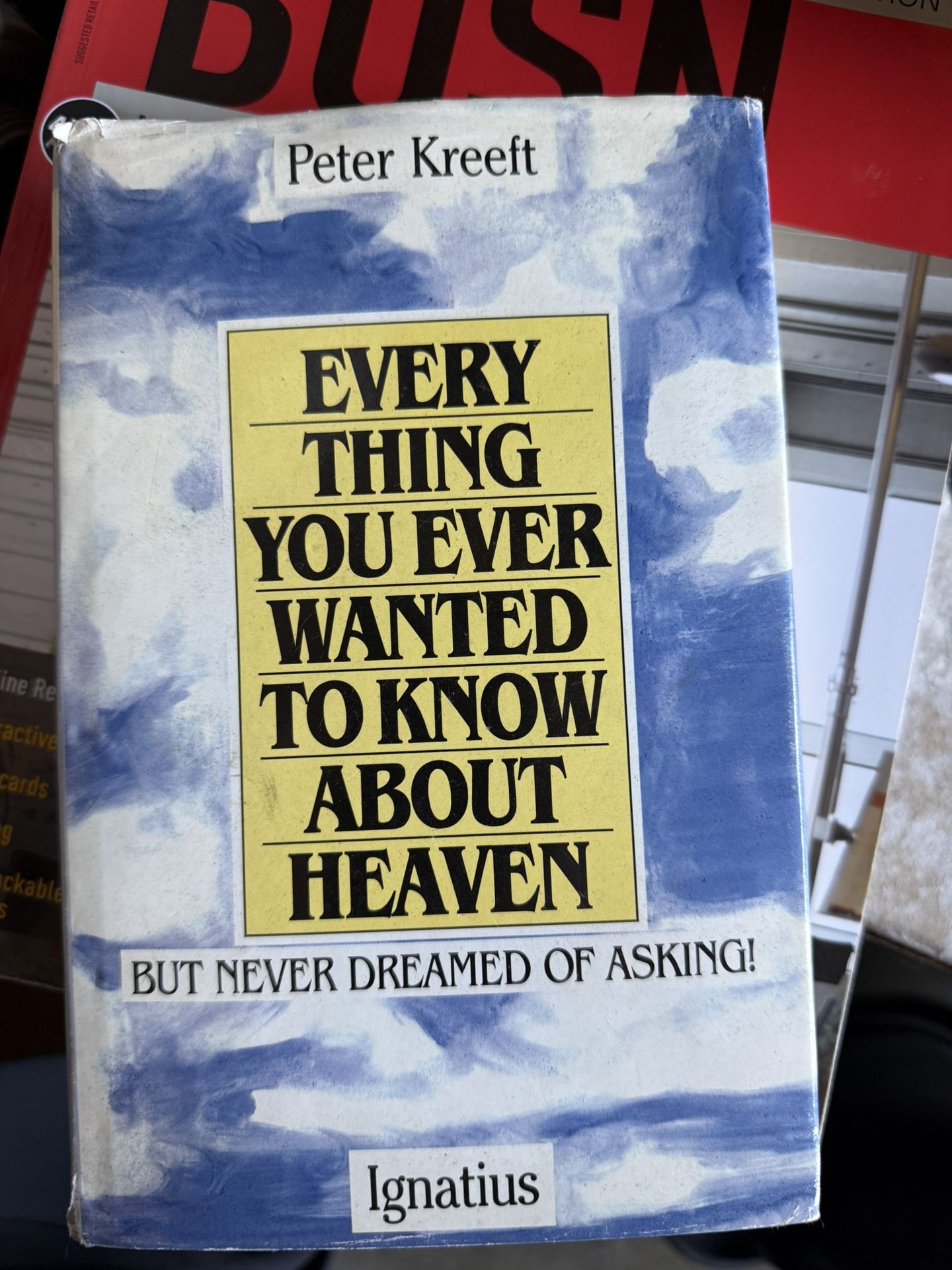Everything You Ever Wanted to Know About Heaven: But Never Dreamed of Asking