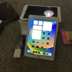 IPAD Pro Wi-Fi Plus Cellular 32GB iOS 16.8