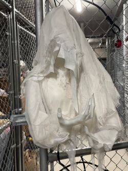 Halloween Decoration