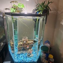 Fish Tank 