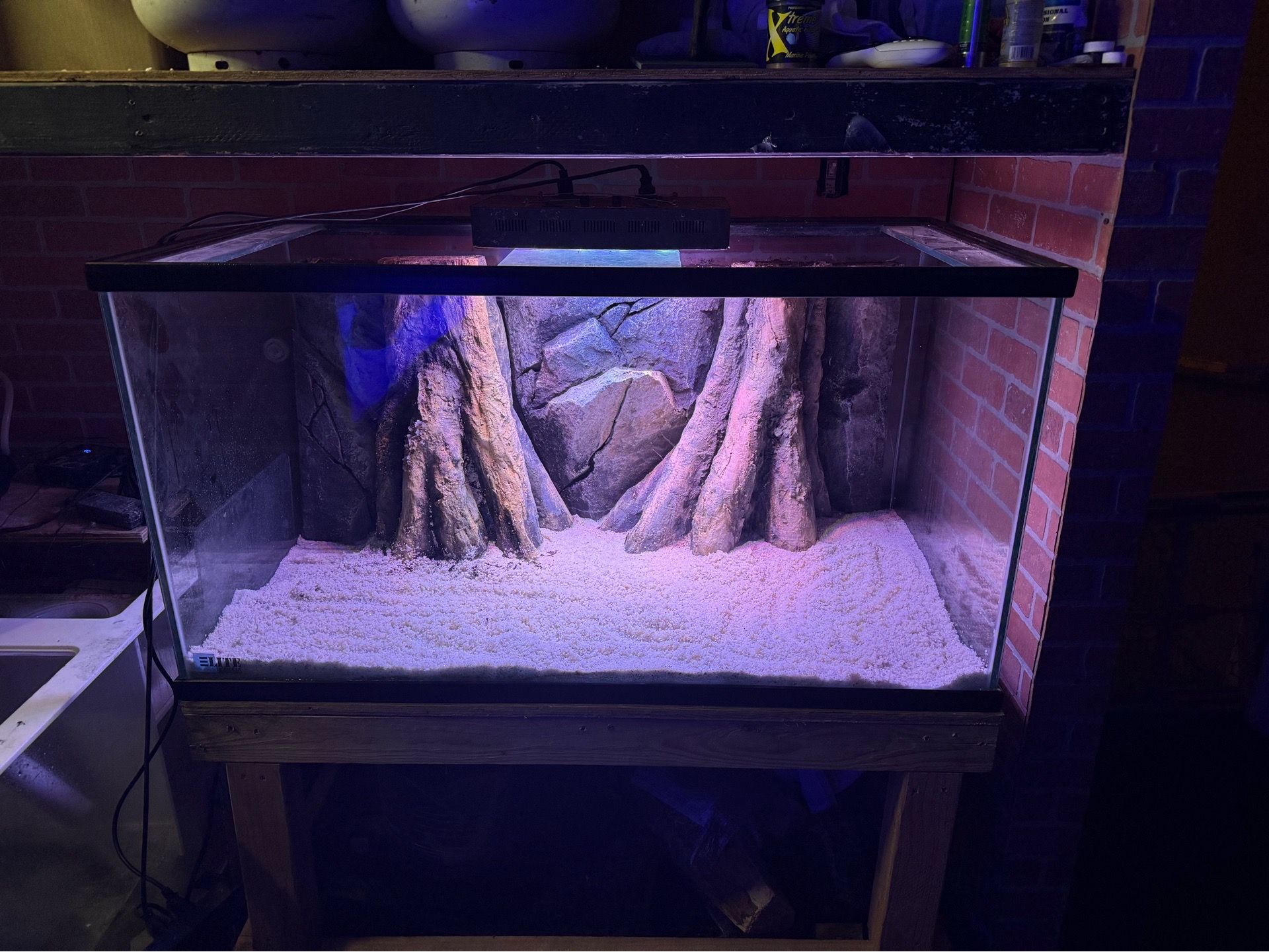 Fish tank trade for saltwater fish