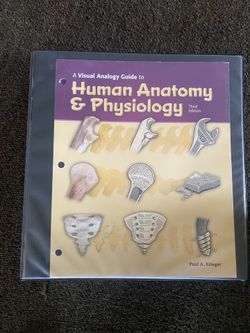 A Visual Guide To Human Anatomy & Physiology