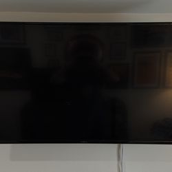 50in Insignia TV