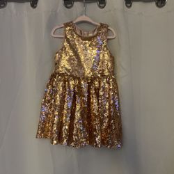 Disney Princess Dress