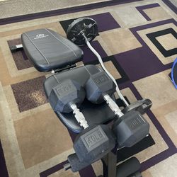 Weighted Bench And Weights Set