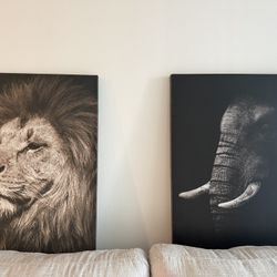  2 Paintings